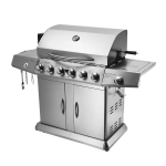 Barbecue Gas Grill With 6 Burner