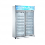 2-Door Fancooling Merchandisers